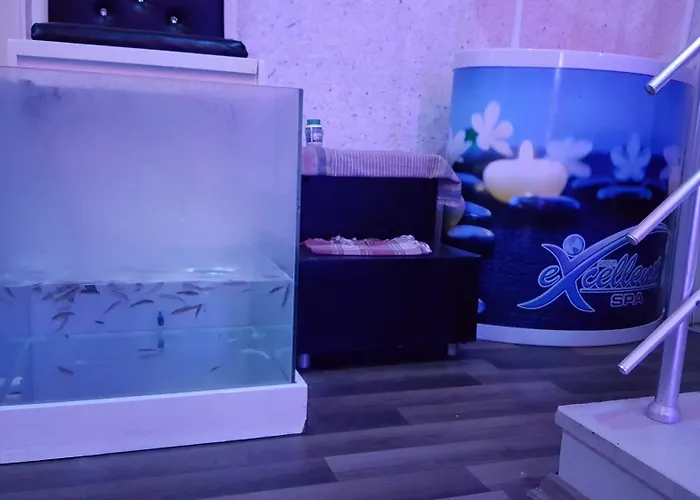 호텔 Kleopatra Togan 4*